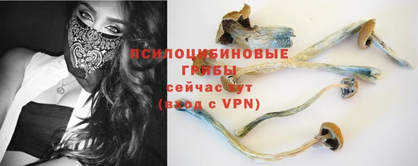 круглые Абаза