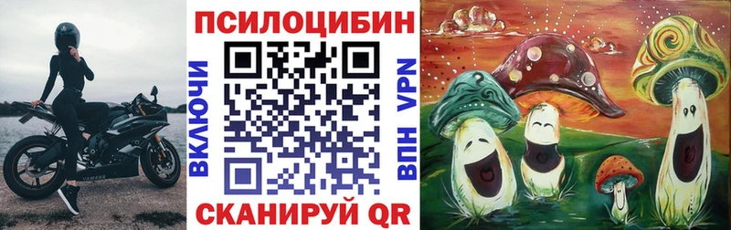 hydra рабочий сайт  Богородицк  Галлюциногенные грибы мицелий 